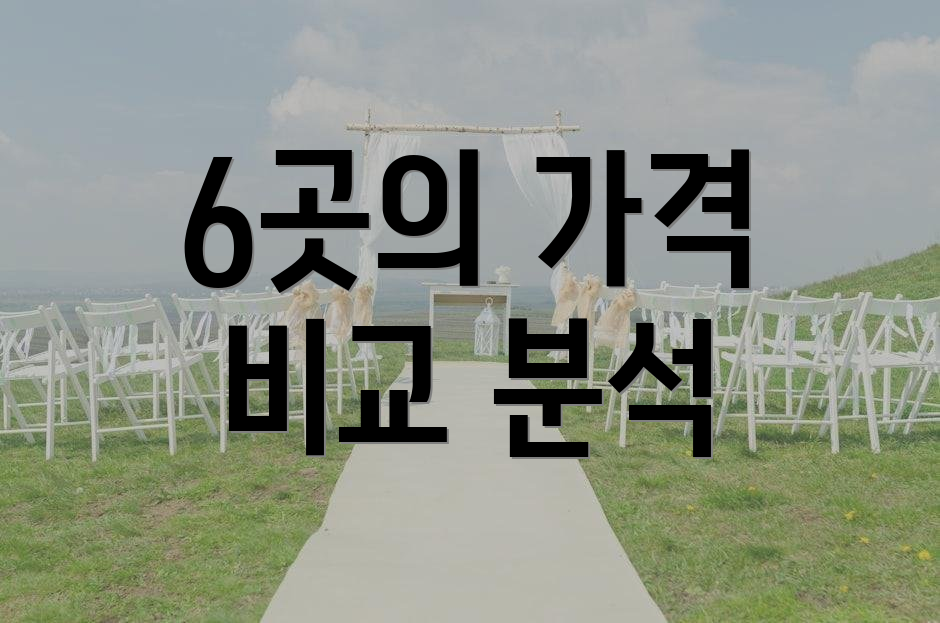 6곳의 가격 비교 분석