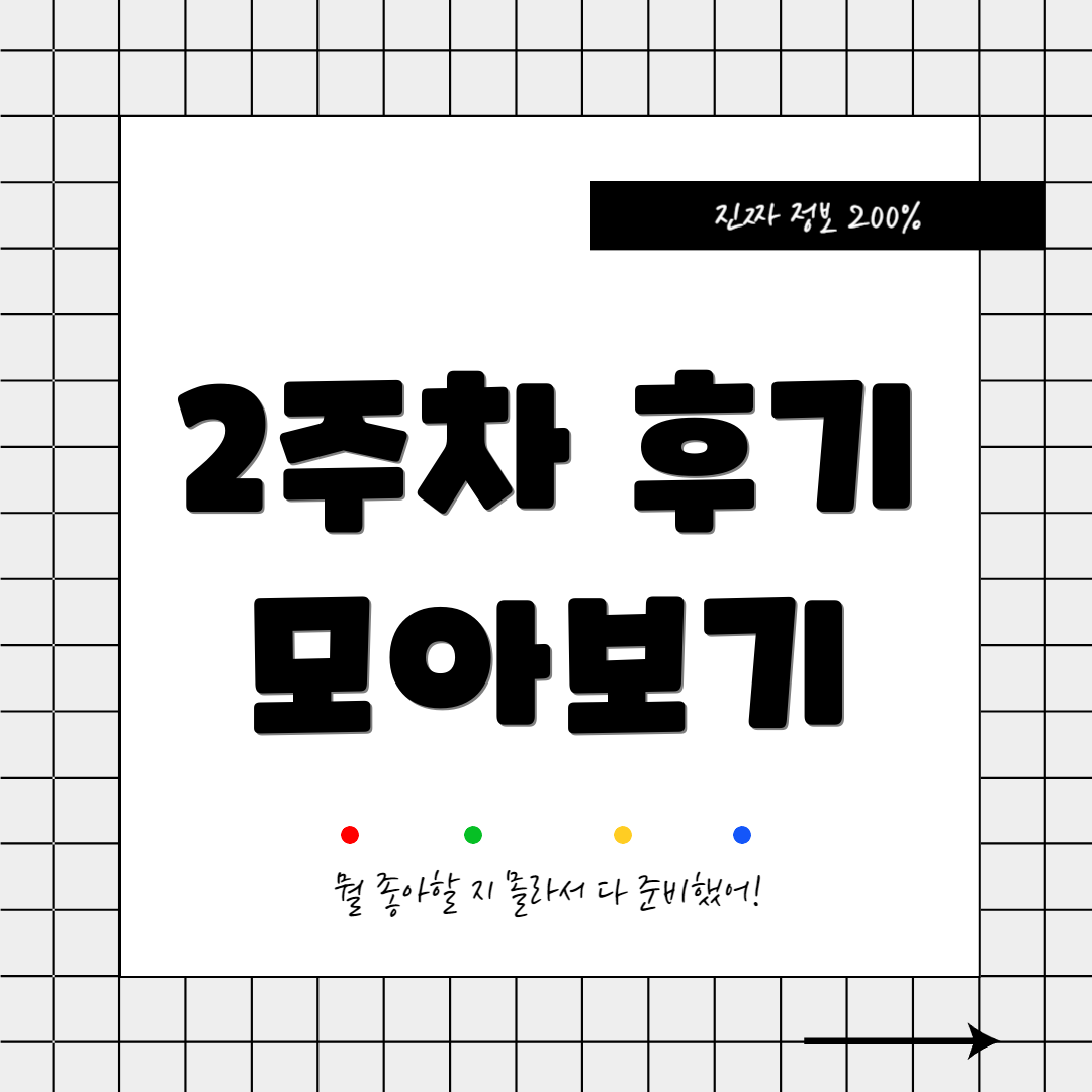 2주차 후기 모아보기