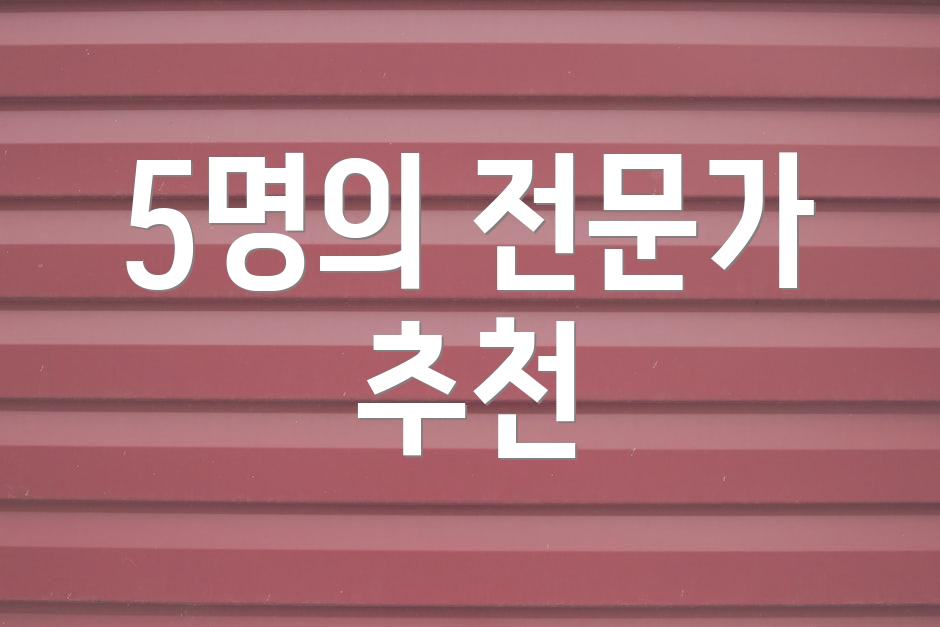 5명의 전문가 추천