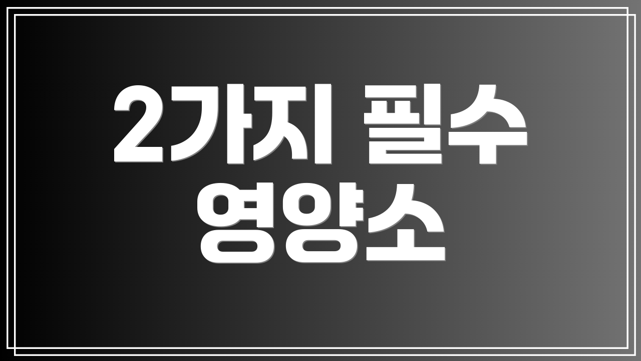 2가지 필수 영양소