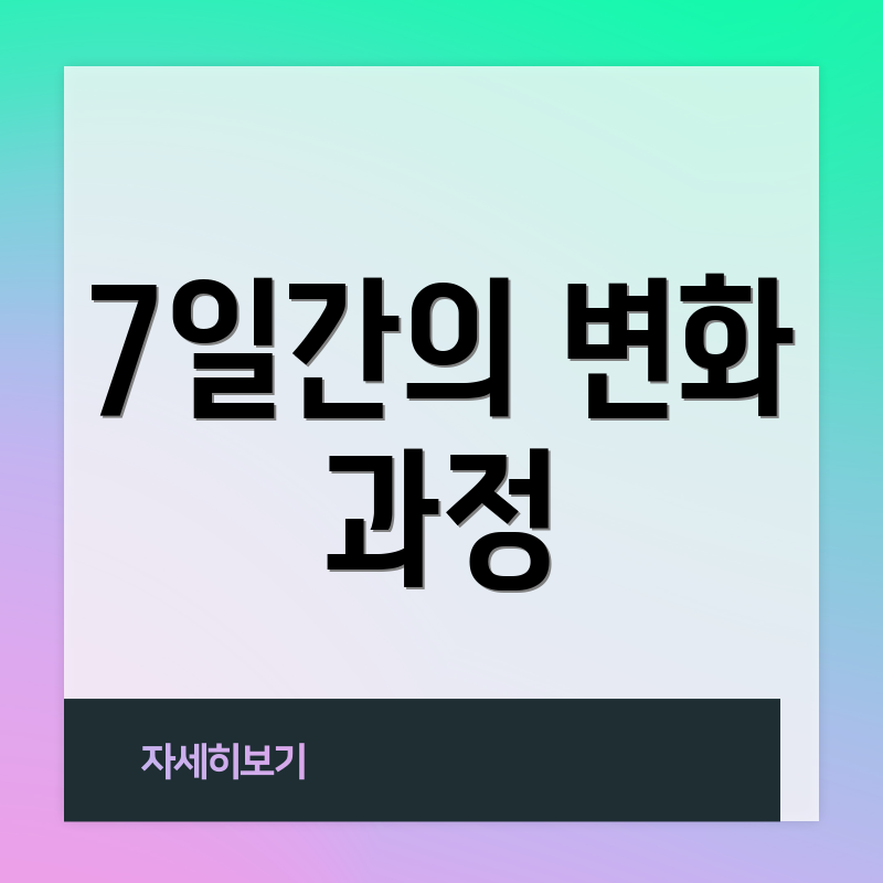 7일간의 변화 과정