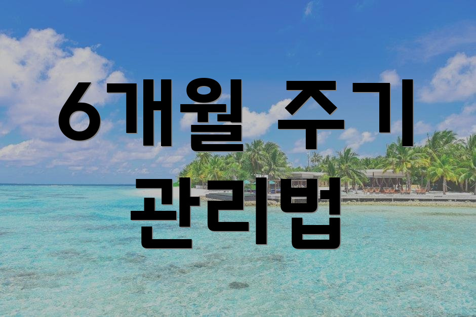 6개월 주기 관리법