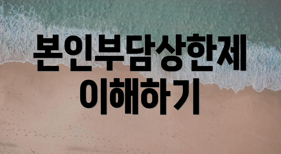 본인부담상한제 이해하기