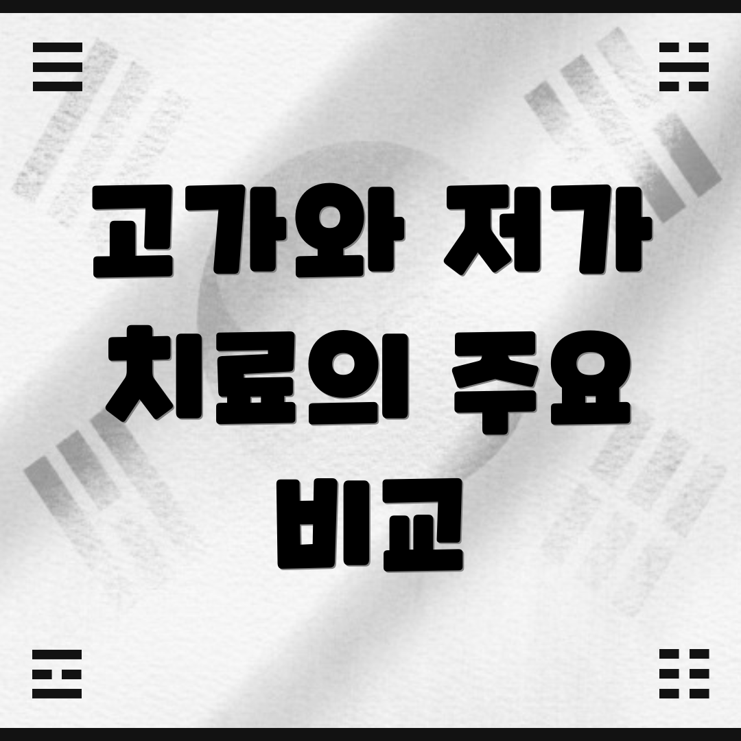 고가와 저가 치료의 주요 비교