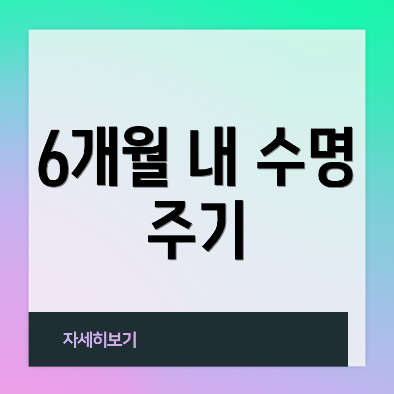 6개월 내 수명 주기