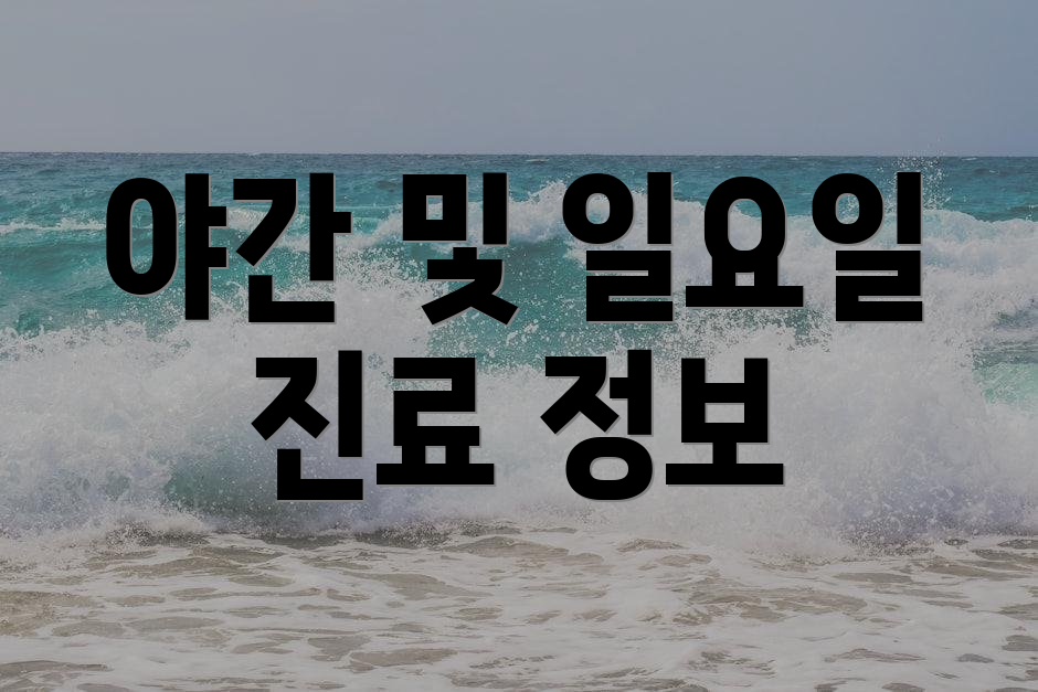 야간 및 일요일 진료 정보