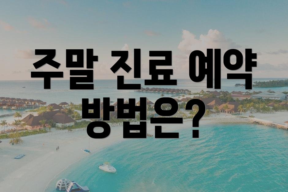 주말 진료 예약 방법은?