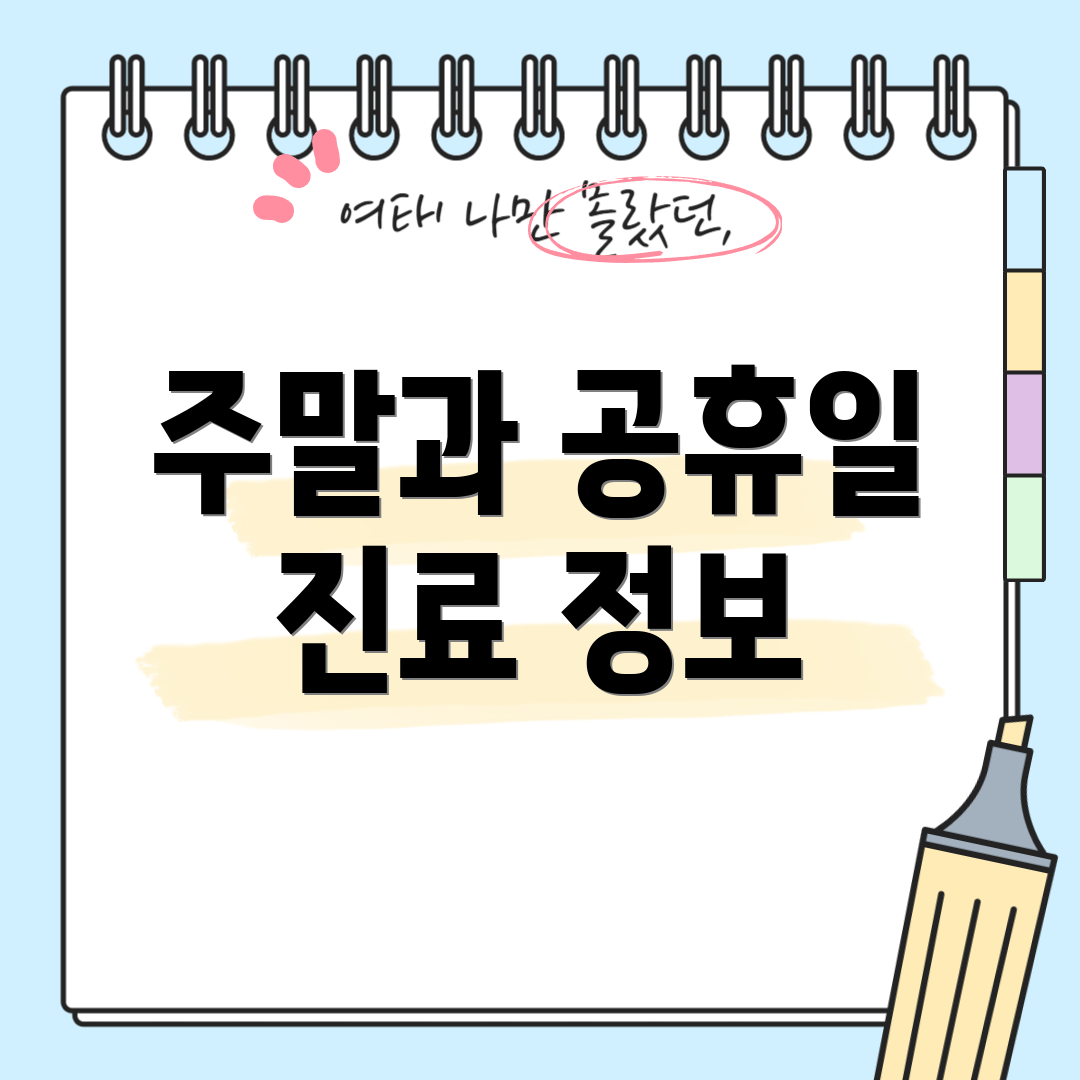 주말과 공휴일 진료 정보