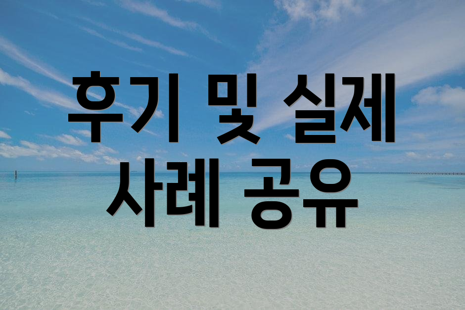 후기 및 실제 사례 공유