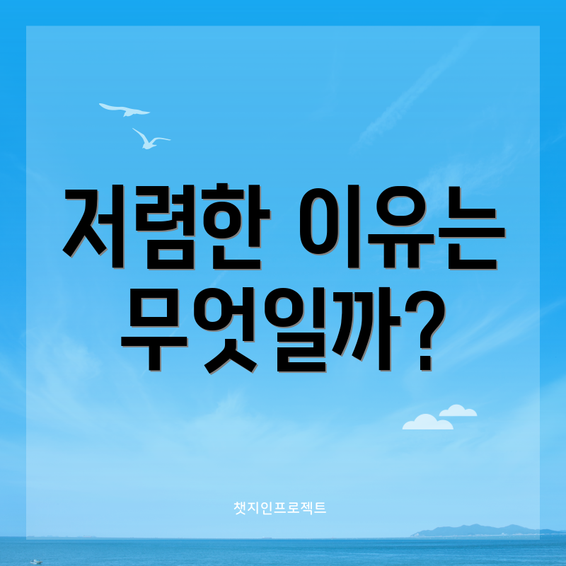 저렴한 이유는 무엇일까?