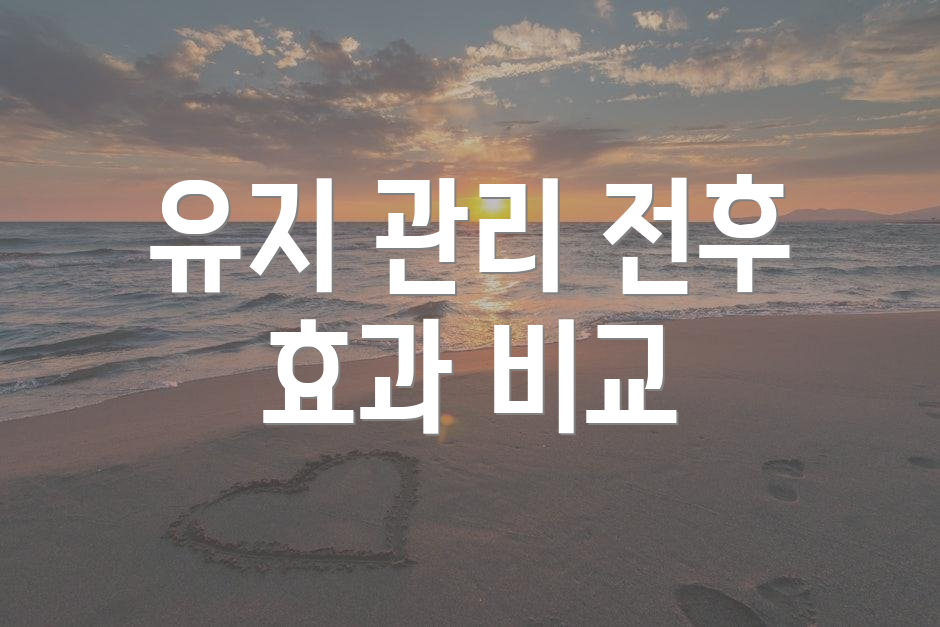 유지 관리 전후 효과 비교