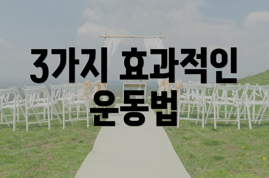3가지 효과적인 운동법