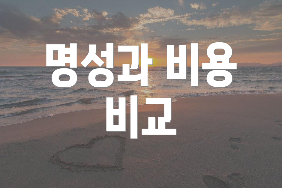 명성과 비용 비교