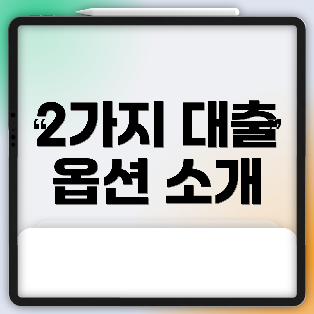2가지 대출 옵션 소개