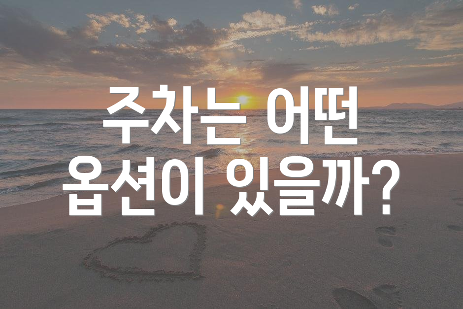 주차는 어떤 옵션이 있을까?