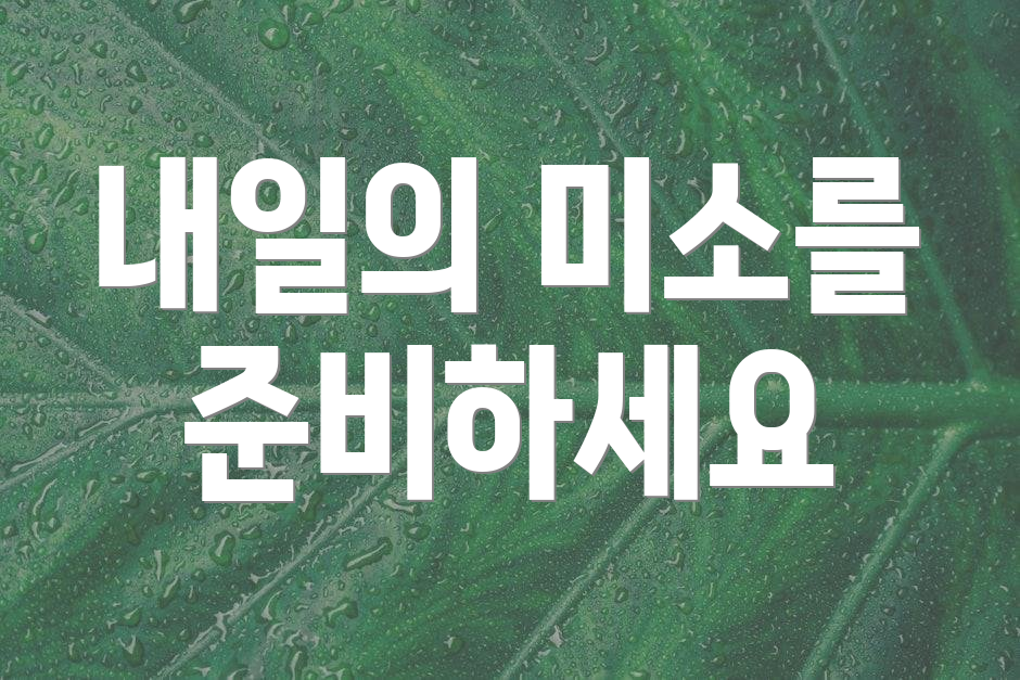 내일의 미소를 준비하세요
