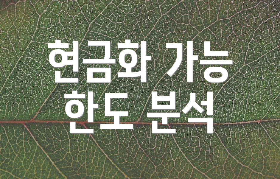 현금화 가능 한도 분석
