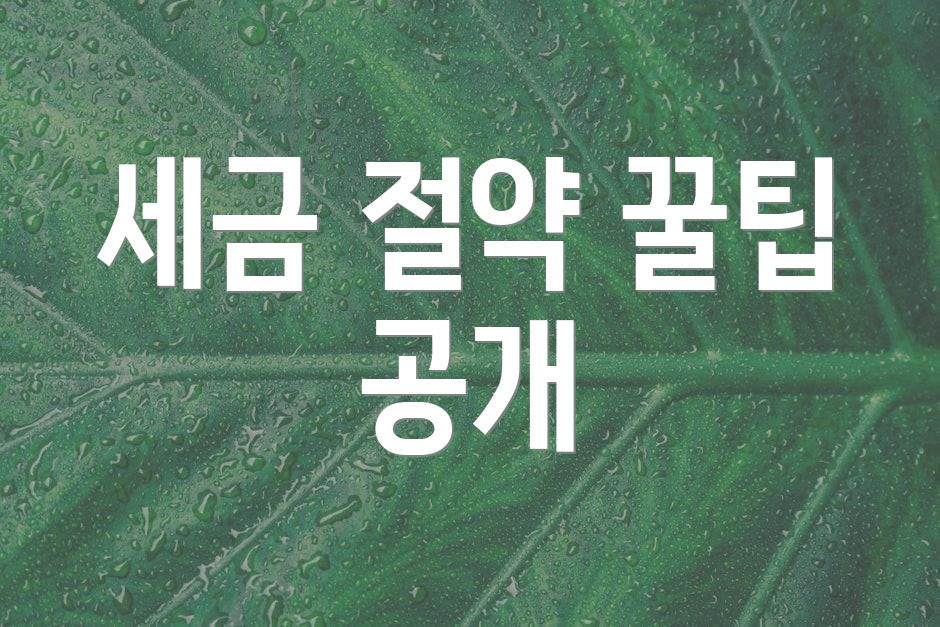 세금 절약 꿀팁 공개