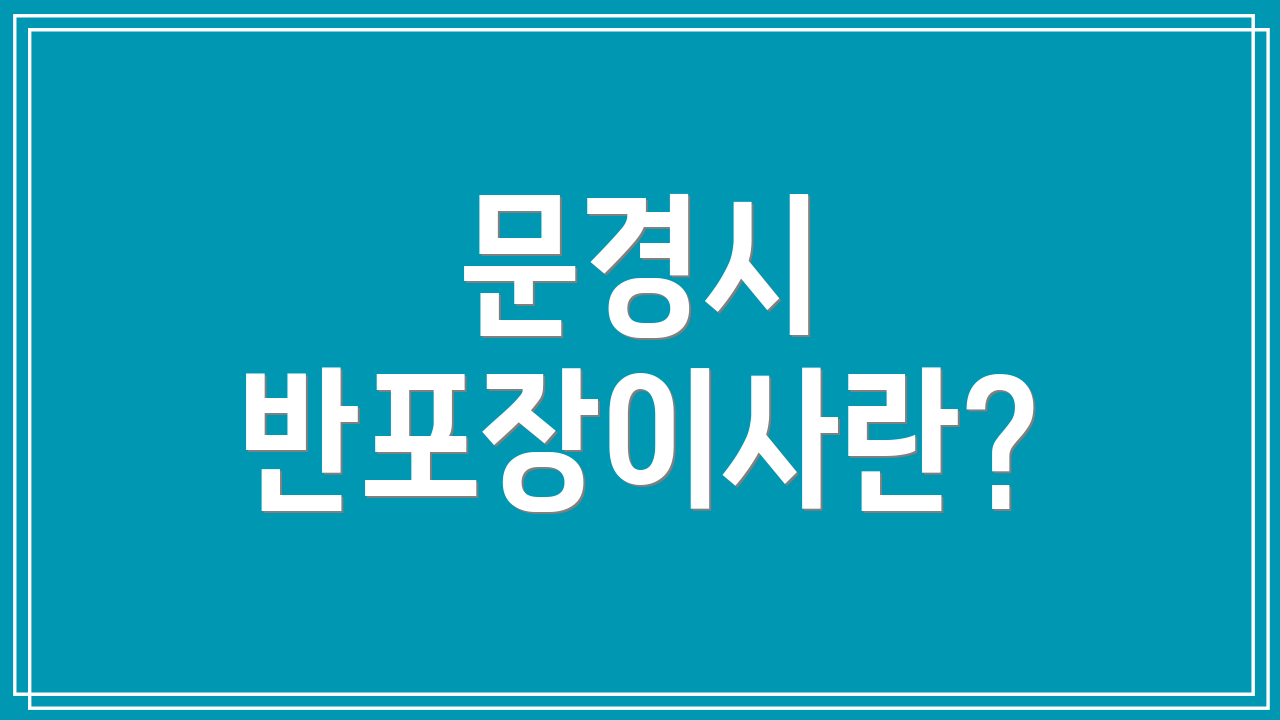 문경시 반포장이사란?