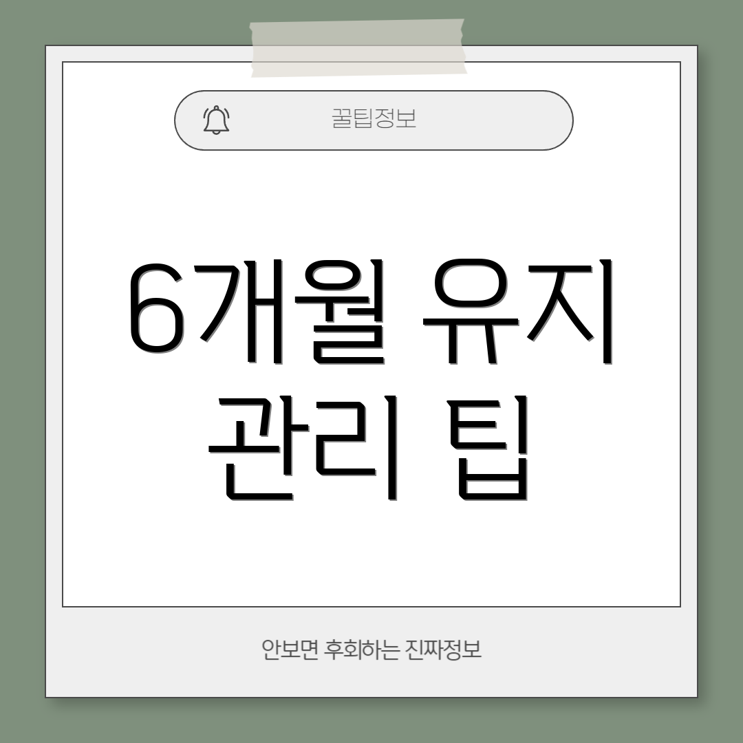 6개월 유지 관리 팁
