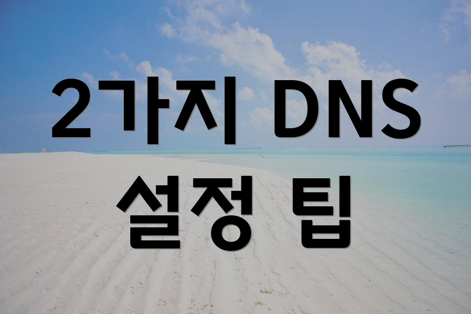 2가지 DNS 설정 팁