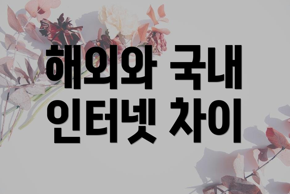 해외와 국내 인터넷 차이