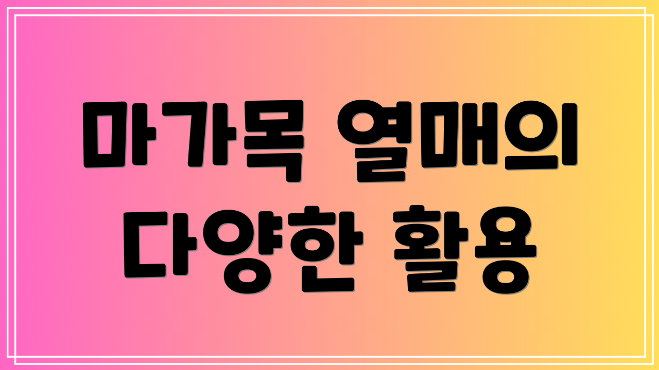 마가목 열매의 다양한 활용