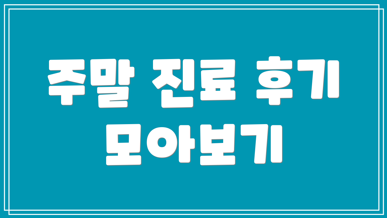 주말 진료 후기 모아보기