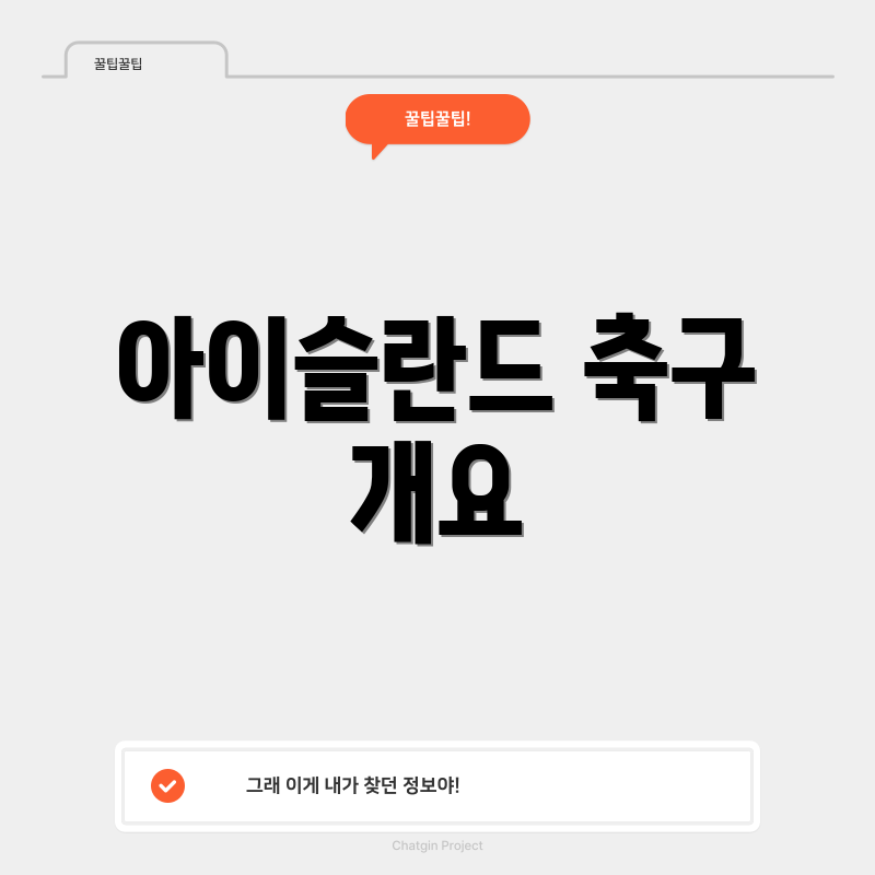 아이슬란드 축구 개요