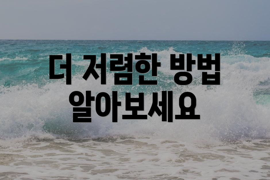 더 저렴한 방법 알아보세요