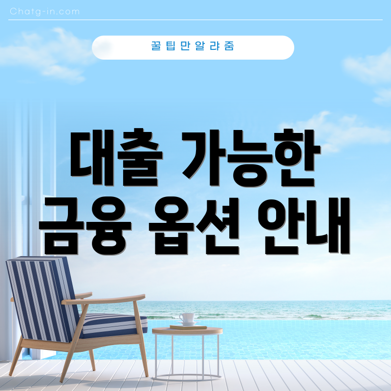 대출 가능한 금융 옵션 안내