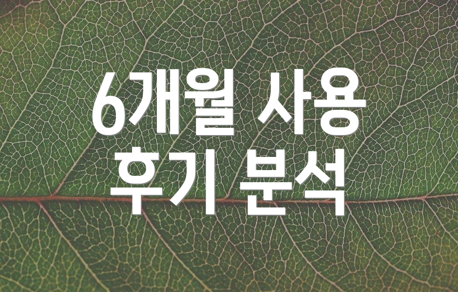 6개월 사용 후기 분석