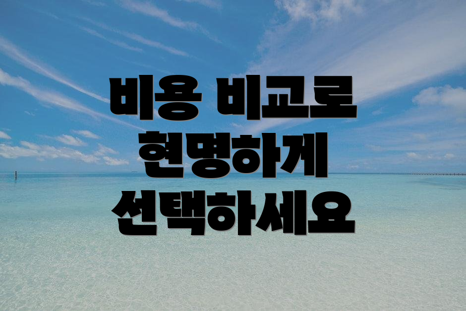 비용 비교로 현명하게 선택하세요