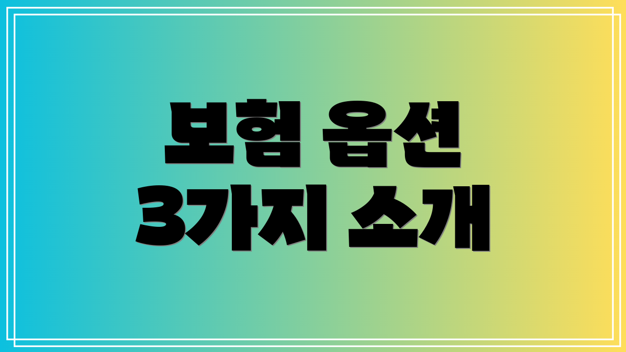 보험 옵션 3가지 소개