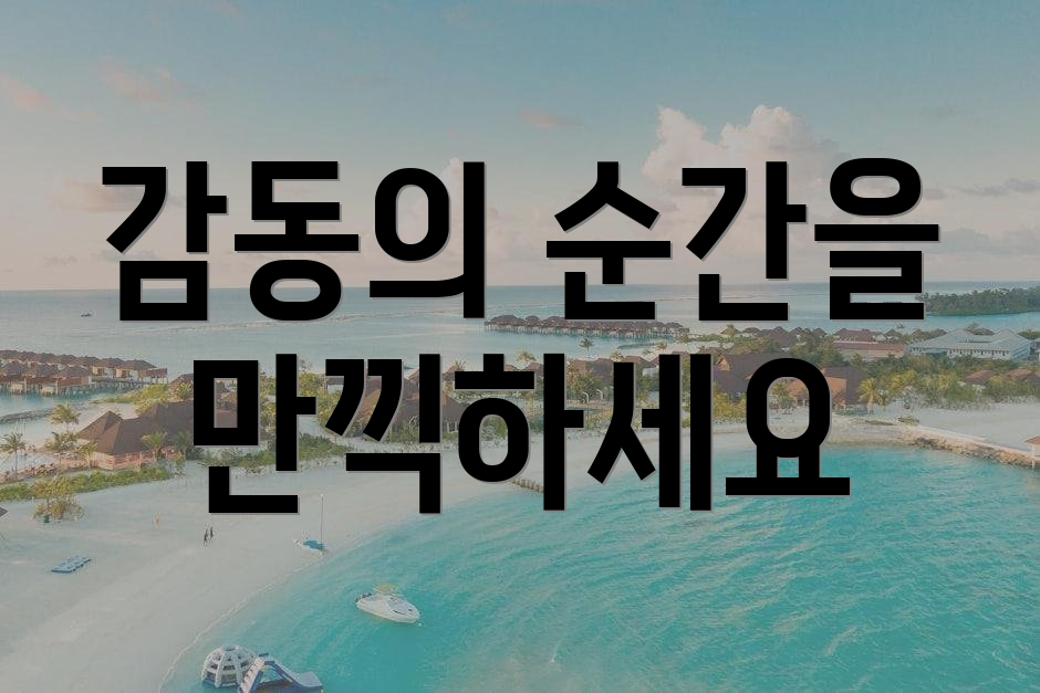 감동의 순간을 만끽하세요