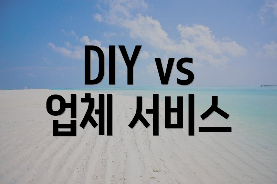 DIY vs 업체 서비스