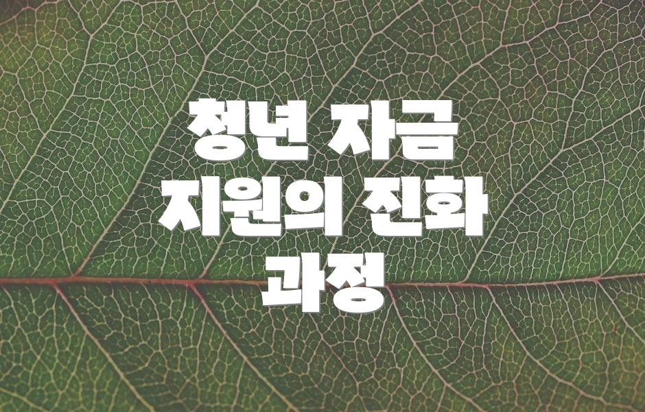 청년 자금 지원의 진화 과정