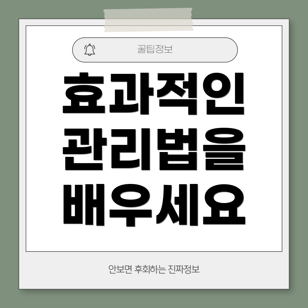 효과적인 관리법을 배우세요