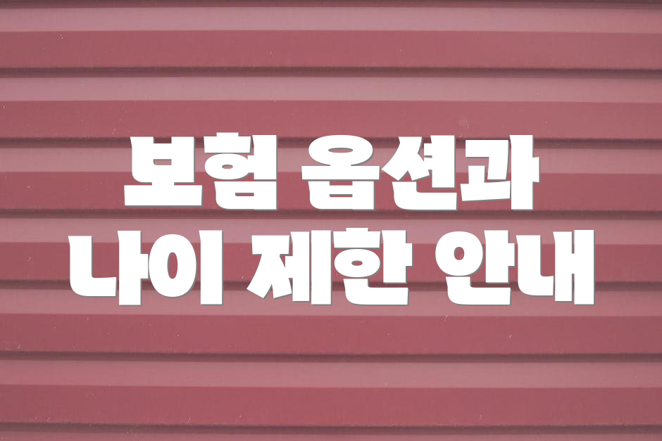 보험 옵션과 나이 제한 안내