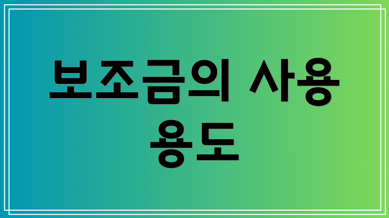 보조금의 사용 용도