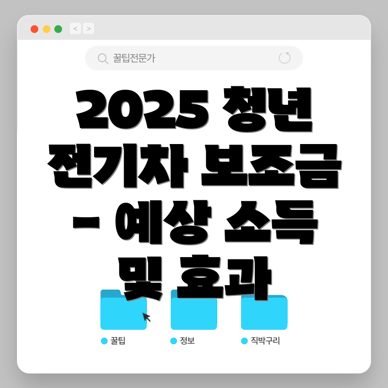 2025 청년 전기차 보조금 - 예상 소득 및 효과