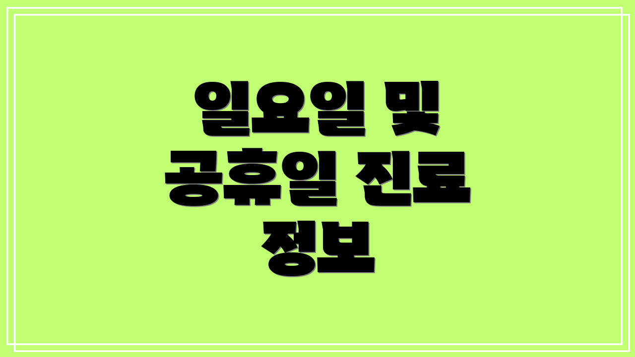 일요일 및 공휴일 진료 정보