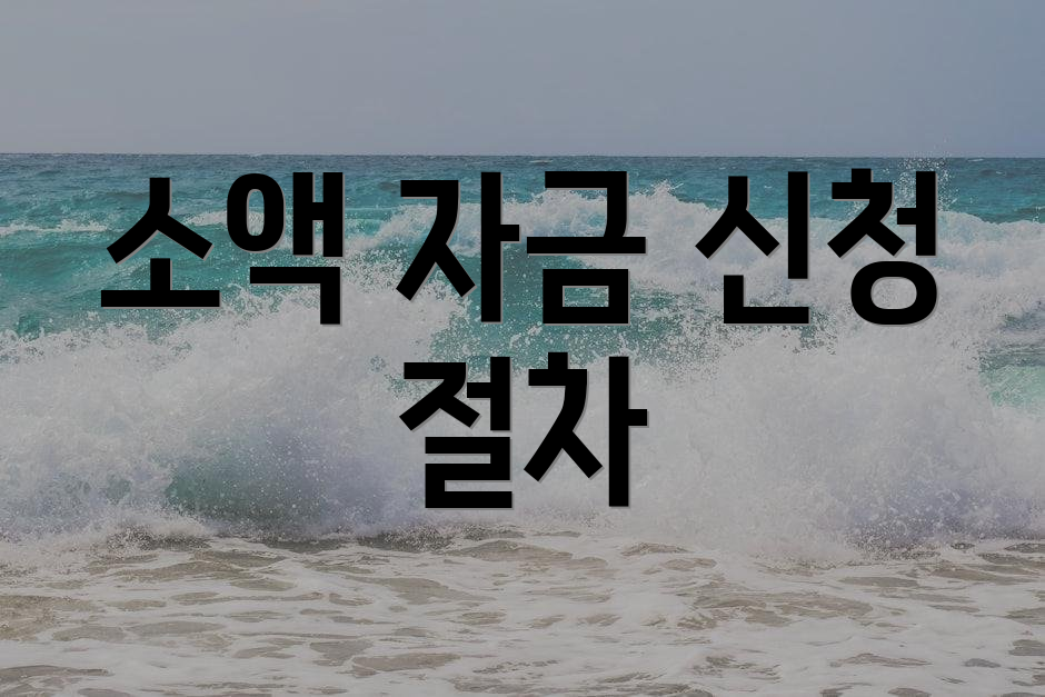 소액 자금 신청 절차