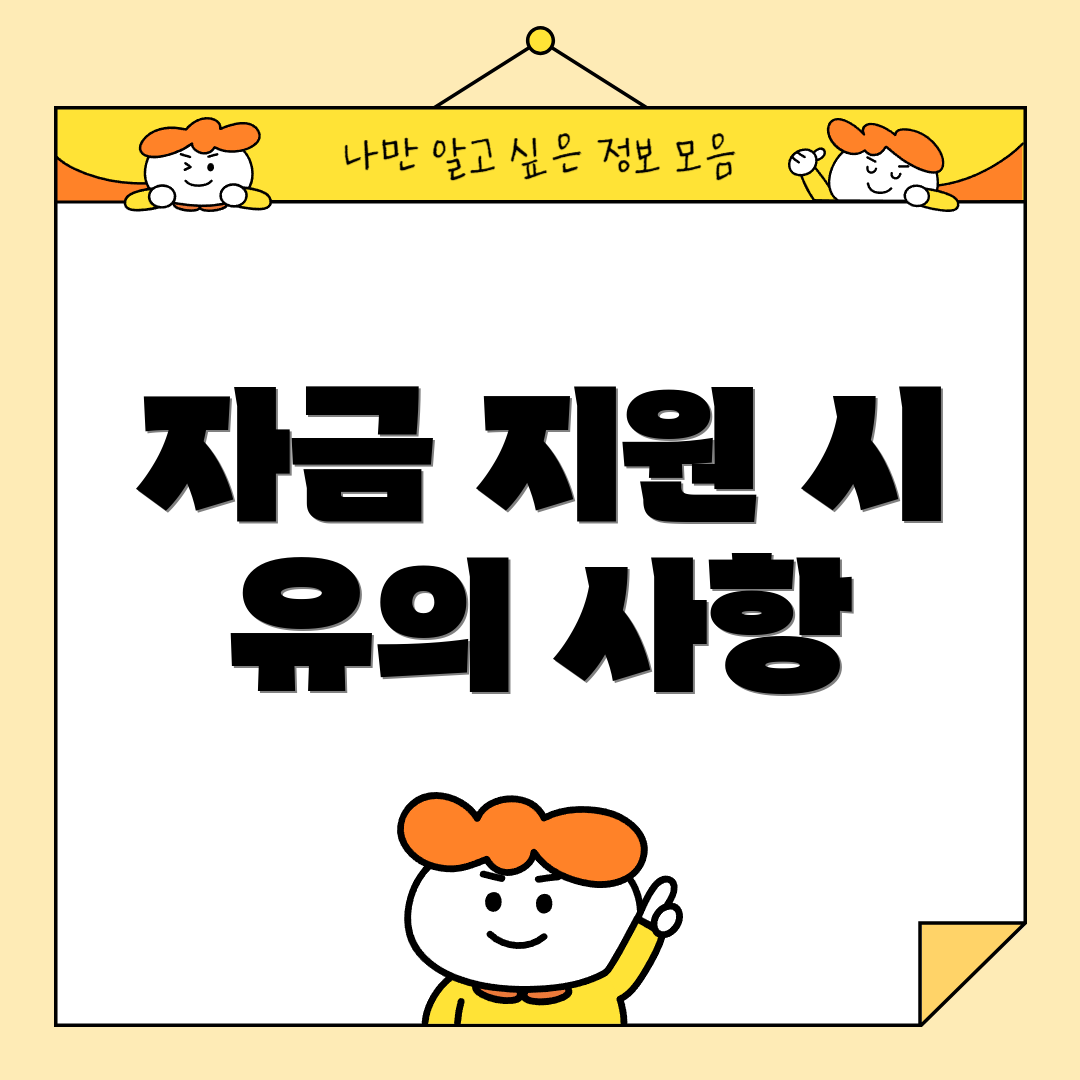 자금 지원 시 유의 사항