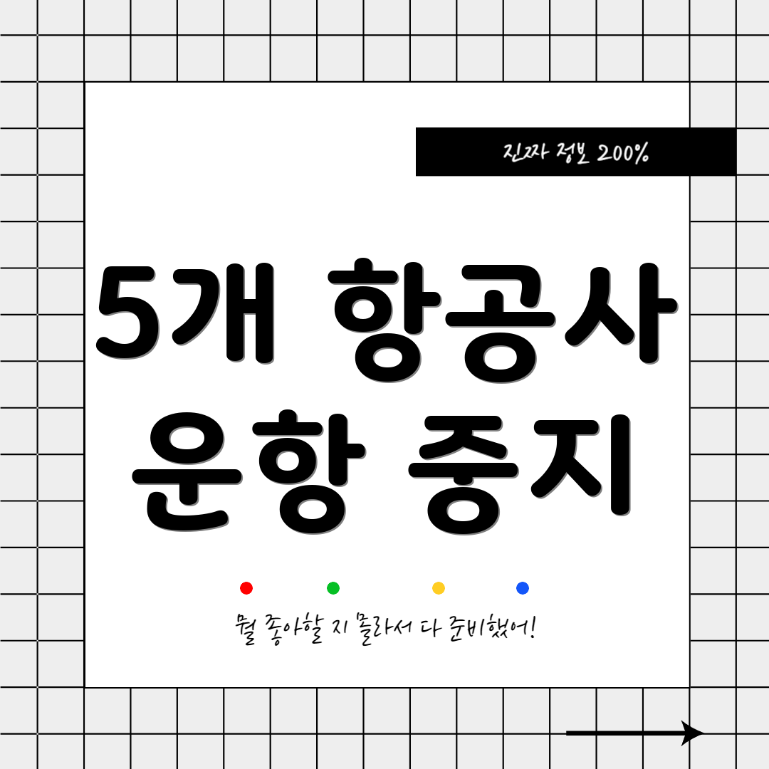 5개 항공사 운항 중지