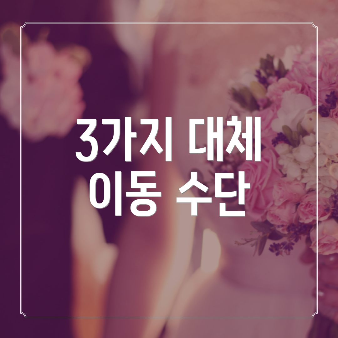 3가지 대체 이동 수단