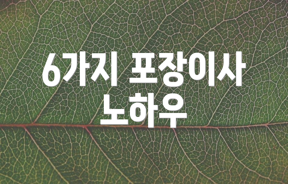 6가지 포장이사 노하우
