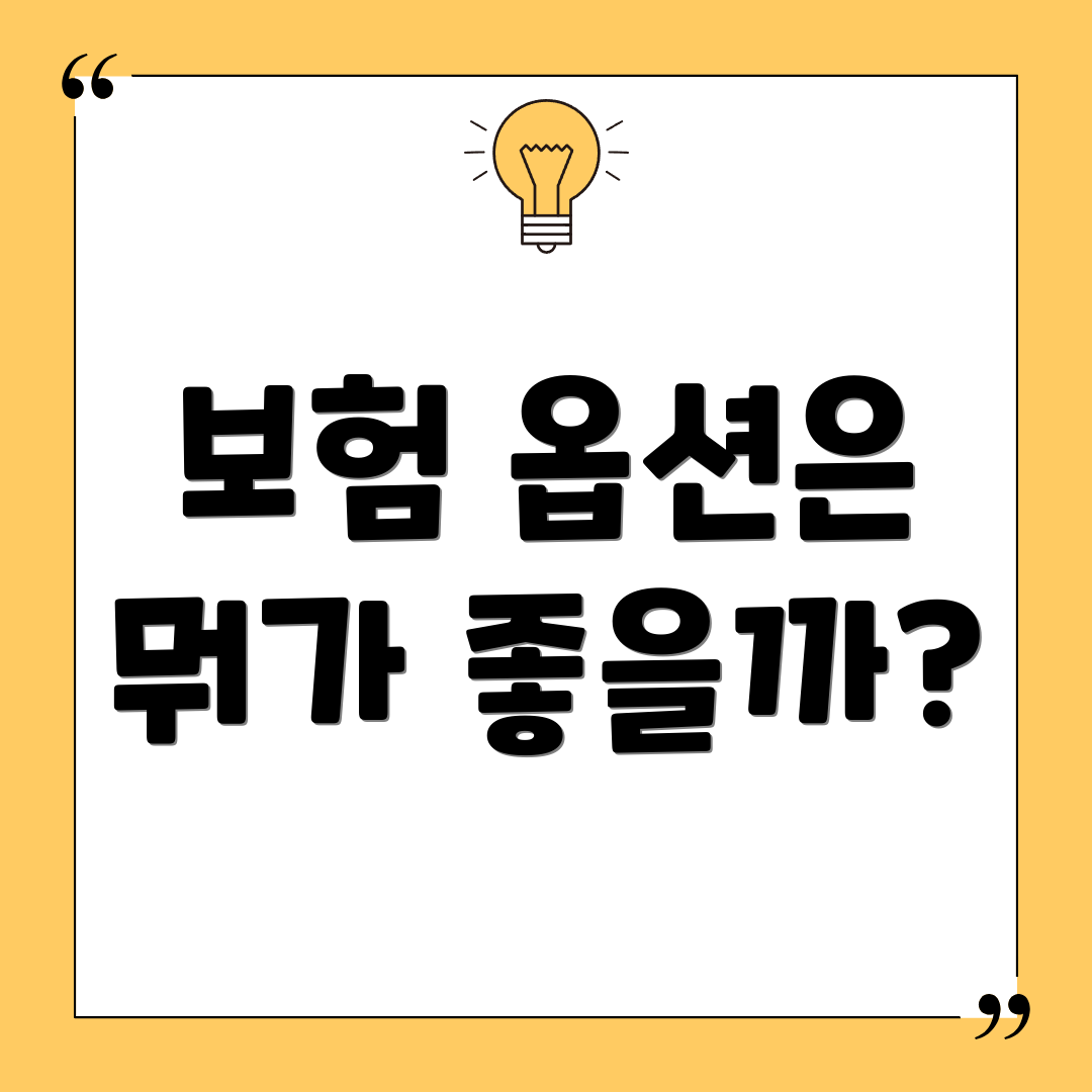 보험 옵션은 뭐가 좋을까?