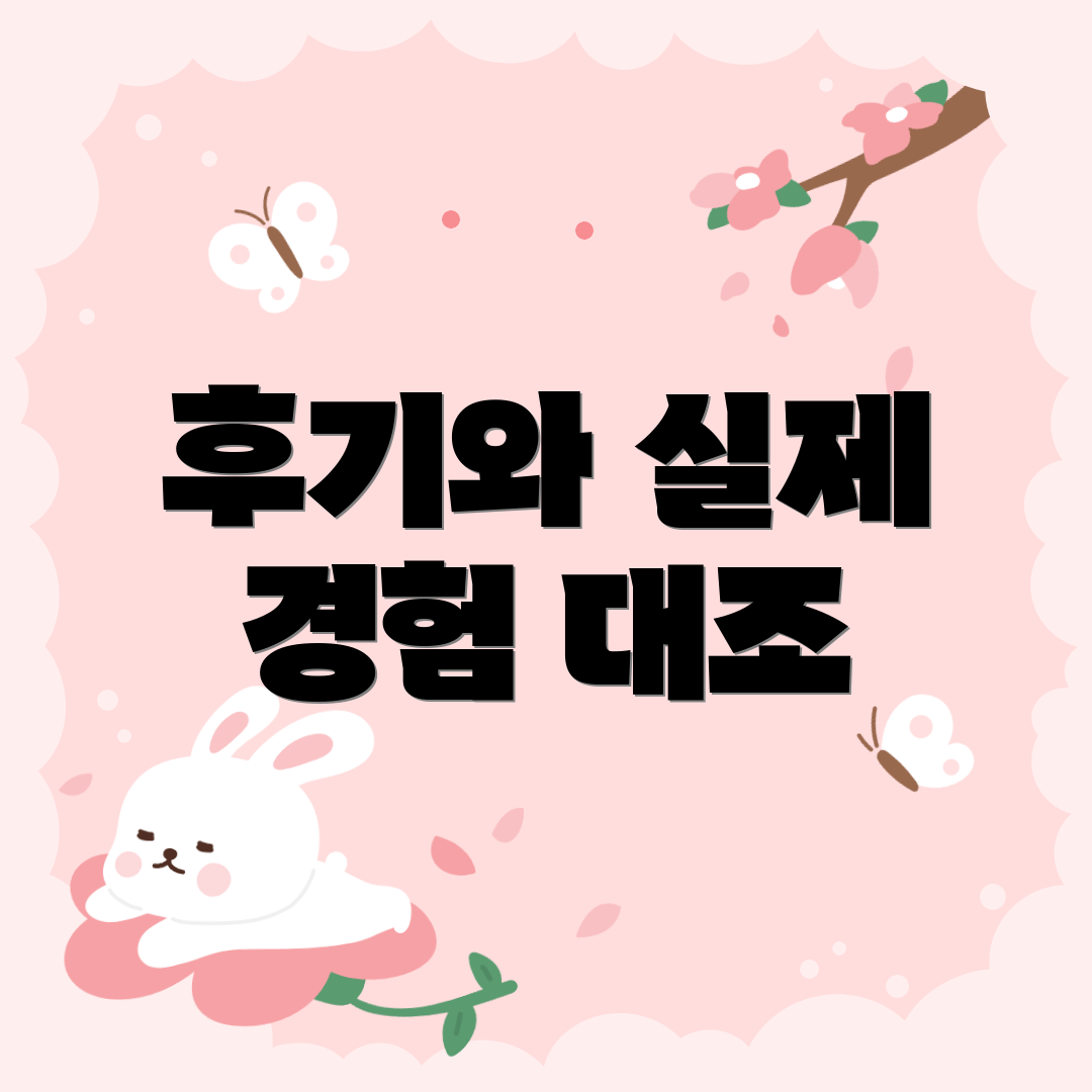 후기와 실제 경험 대조