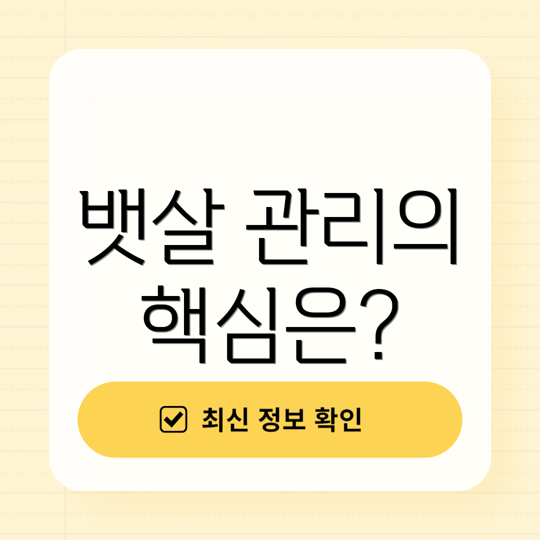 뱃살 관리의 핵심은?